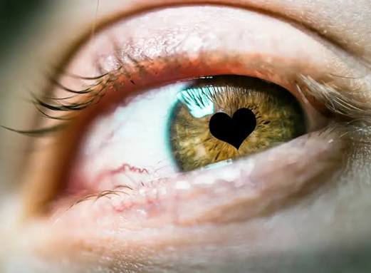 The science of love at first sight | Royal Institution