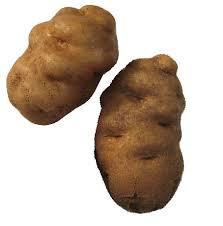 The potato has an earthy and nutty flavor that is similar to the taste sensed in cooked dry beans. Http Www Potatoperspective Org Dropzone Thewaypotatoesgo Pdf
