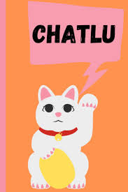 Les ordinateurs portables et les tablettes sont déjà équipés pour ce genre de communication. Chatlu Carnet De Notes Chat Rigolo Drole Qui Dit Salut En Mode Chat De 100 Pages Lignees A Remplir Au Format 6 9 Pouces Avec Une Couverture Enfants Ados Adultes French Edition
