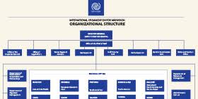 organizational structure international organization for