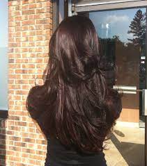 Dark Brown With Eggplant Purple Hue And Long Layers Hair Styles Long Hair Styles Hair
