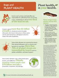 Until the 1940s, pest control chemicals were derived from plants and inorganic compounds. May
