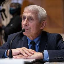 Man sentenced to 3 years in prison for threatening to kill Fauci