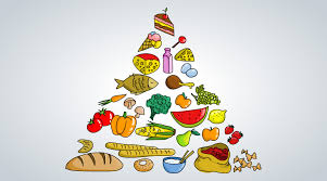 Nella precedente versione numero di ottobre del quaderno, infatti, la rappresentazione suggeriva di mangiare più carboidrati che verdura. Piramide Alimentare Cos E E Come Funziona