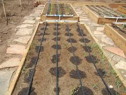 Garden Tips Drip Irrigation Garden Drip System Irrigation Gardentips Dripi Garden Irrigation System Drip Irrigation System Design Garden Watering System