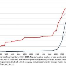 Image result for Rhodopentas bussei