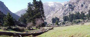 Από ihunt team 31 ιουλίου, 2021. Drasthriothtes Sth Zhreia Xionodromiko Kentro Zhreias Oreinh Korin8ia Trikala Korin8ias