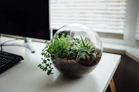 Feng Shui Is The Ancient Chinese Practice Of Arranging Physical Objects To Attract Positive Energy Use These How To Make Terrariums Desk Plants Terrarium Diy