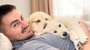 What could be better than a golden retriever?