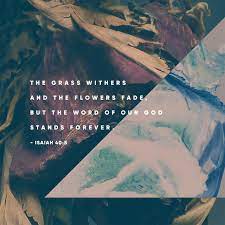 Isaiah 40 8 The Grass Withers And The Flowers Fall But The Word Of Our God Endures Forever The Grass Withers The Flower Fades But The Word Of Our God Will Stand Forever