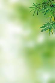 leaf h5 material background on green gradient background green gradient background flower background wallpaper white background wallpaper
