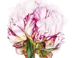 Original Painting Watercolor Peony Painting Botanical Illustration Watercolor Flowers Peony Watercolor Watercolor P Peony Painting Watercolor Flowers Art