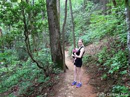 Dogs are also able to use this trail but must be kept on a leash. Raven Cliff Falls Camping Pasteurinstituteindia Com