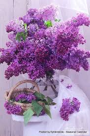 Common purple flowers in arrangements. Image May Contain Flower Plant And Outdoor Beautiful Flower Arrangements Beautiful Flowers Purple Flowers