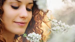 La Donna Calabrese: Un ritratto per la Festa della Donna