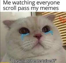 Aspca cat house & scratcher w/ bonus catnip included : Crying Cat Meme Just For Fun Memes Point
