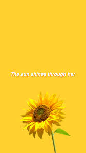Cute Aesthetic Sunflower Wallpapers Wallpaper Cave Be inspired by the beauty of nature with this gorgeous collection of flower wallpapers and images. cute aesthetic sunflower wallpapers