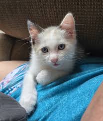 Those eyes, that face, can't let her go