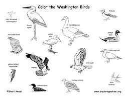State freshwater fish largemouth bass. Washington State Birds Coloring Sheet Yahoo Image Search Results Bird Coloring Pages Animal Habitats British Wildlife Art