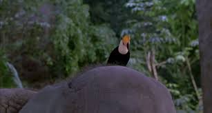 George of the jungle tickled