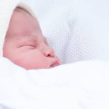 Mai 2015 in london geboren. Prinzessin Charlotte Dieser Prinz Ist Ihr Grosster Verehrer Bunte De