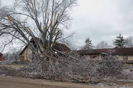Feb. 22-23, 2023 Ice Storm damage (PHOTOS & VIDEO)