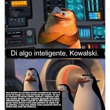 # rico # skipper # marlene # the penguins of madagascar # tpom. Top Memes De Los Pinguinos De Madagascar En Espanol Memedroid