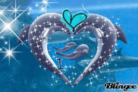 Animated Gif By Joy Hodges Baby Dolphins Dolphin Art Dolphins