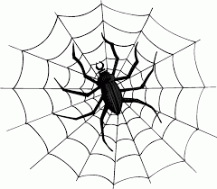 Spinne Im Netz 2 Ausmalbild Malvorlage Tiere