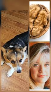 Ok. I'll play. This one is super easy.