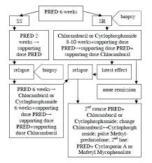 clinical patterns and renal survival of nephrotic syndrome