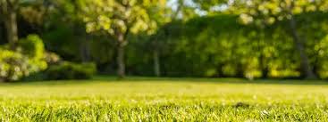 Enhance the overall health and appearance of your property today. Trugreen Lawn Care San Antonio Tx 877 868 5590