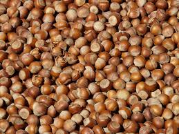 Varietà cultivar prodotte attraversando polline nottingham con una miscela di varietà ibride krasnolistnyh № 154, 162 e 167 di selezione akademika yablokova nel 1957, in zakatala orehosovhoze. I Maggiori Produttori Mondiali Di Nocciole