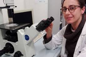 Dal ferro una risposta al tumore della prostata?