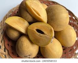 Image result for Sapotaceae