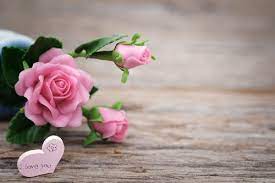 If you have one of your own you'd. 100 000 Best Love Wallpaper Photos 100 Free Download Pexels Stock Photos