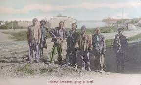 Coloured, Honorary White, Legally Black: The Four Waves of Chinese South Africa | The Heritage Portal
