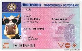 Word vorlagen kostenlos geldscheine : Fuhrerschein Fuhrerschein Lebenslauf Vorlagen Word Fahrschule