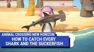 Animal Crossing Fish List All Fish Prices Locations And How To Catch Rare Fish With Or Without Fish Bait Eurogamer Net