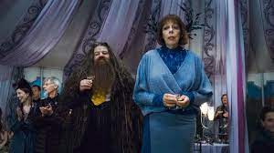 Why did no one tell me that half of the harry potter cast was starring in enola holmes and bellatrix and petunia are canonically childhood friends? Frances De La Tour Net Worth 2020 Wiki Married Family Wedding Salary Siblings