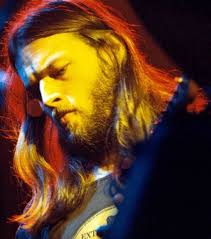 Mountain man beard: who wore it better, David or Nick? : r/pinkfloyd