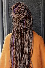 Pin On Protective Braids Hairstyles