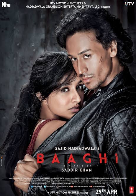 Baaghi - Action Movie Poster | Series Hub Cinema