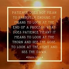 Patience Does Not Mean To Passively Endure It Means To Look At The End Of A Process What Does Patience Mean It Means To Loo Shams Tabrizi Patience That Look