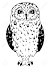Realistic Owl Clipart Black And White