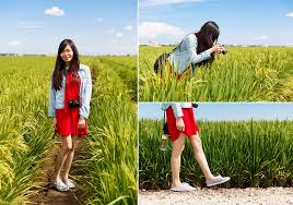 The wide view of paddy field in sekinchan show different feeling in different time. Sekinchan 1 Day Trip What To Do In Sekinchan Malaysian Flavours