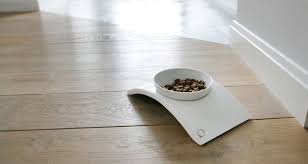Modern Pet Feeders From Lazycat Dog Milk Modern Pet Cat Food Dish Best Cat Food