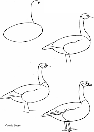 How To Draw Birds Dover Publications Samples How To Draw Canada Goose Bird Drawings Animal Drawings Drawings