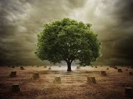 The 6 Most Pressing Environmental Issues And What You Can Do To Help Solve Them Earth Overshoot Day Save Trees Overshoot Day