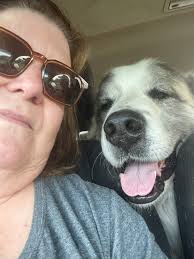 Al refuses a bribe. My dog is honester than your dog.